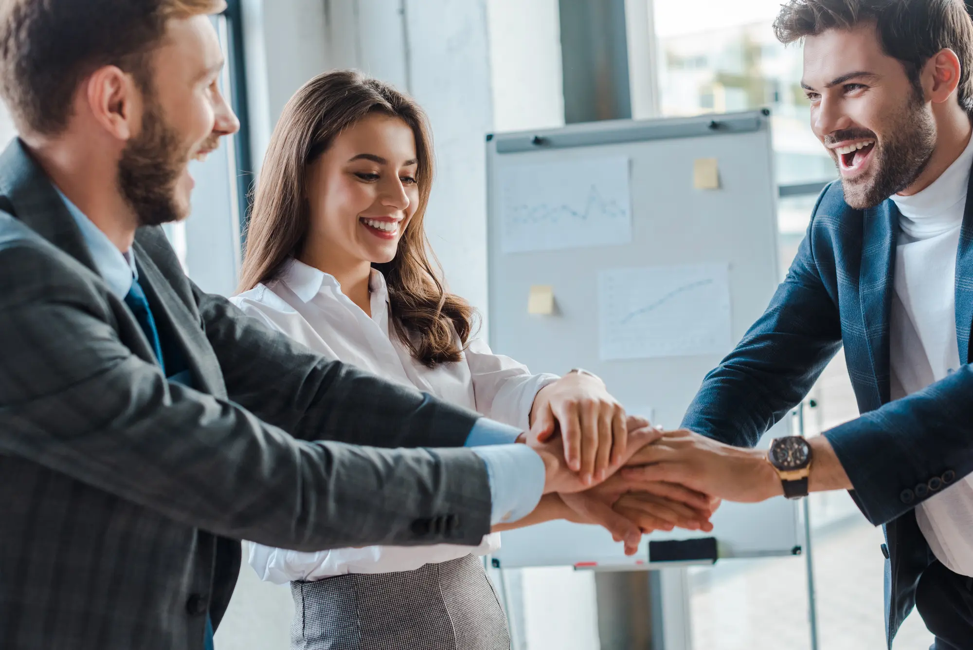 Three NZ auditors celebrating success with a handshake after completing a successful audit project in New Zealand.