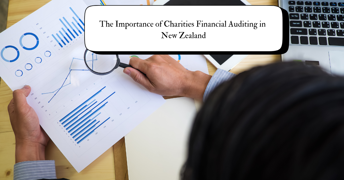 A diverse group of professionals conducting a financial audit for a charity organization in a New Zealand office setting.